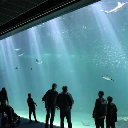 Appartement 3pers, Wifi : Les Poissons *